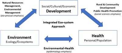 Building competency to deal with environmental health challenges: experiences and a proposal